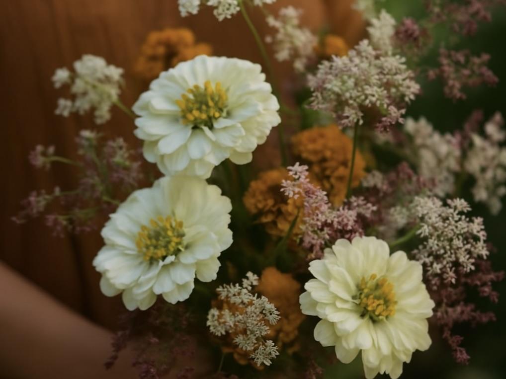 Odla snittblommor i din trädgård – tips för nybörjare